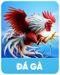 Đá gà 58win