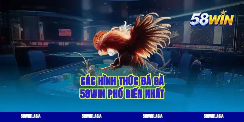 Các hình thức đá gà 58WIN phổ biến nhất