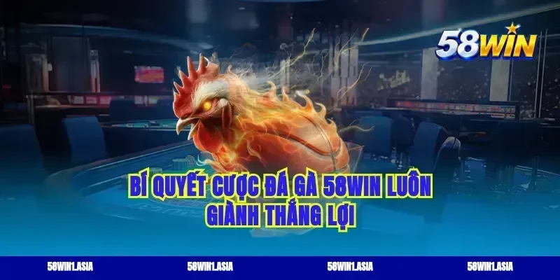 Bí quyết cược đá gà 58WIN luôn giành thắng lợi