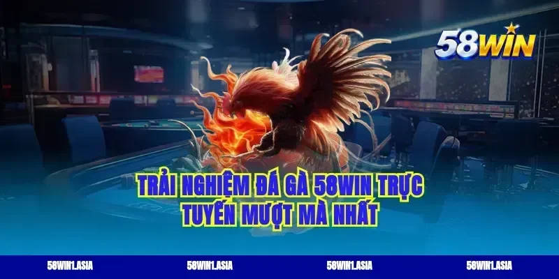 Trải nghiệm đá gà 58WIN trực tuyến mượt mà nhất