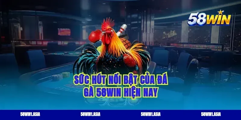 Sức hút nổi bật của đá gà 58WIN hiện nay