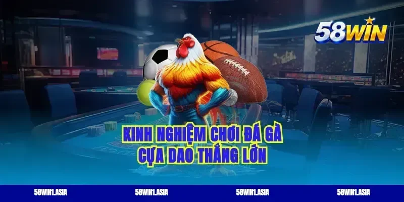 Kinh nghiệm chơi đá gà cựa dao thắng lớn