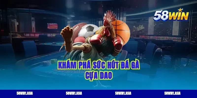 Khám phá sức hút đá gà cựa dao