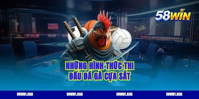 Những hình thức thi đấu đá gà cựa sắt