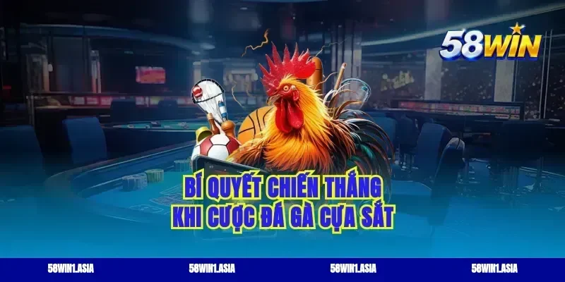 Bí quyết chiến thắng khi cược đá gà cựa sắt