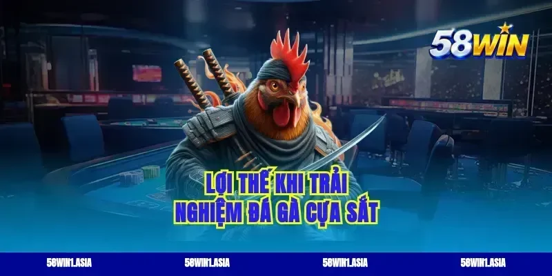 Lợi thế khi trải nghiệm đá gà cựa sắt