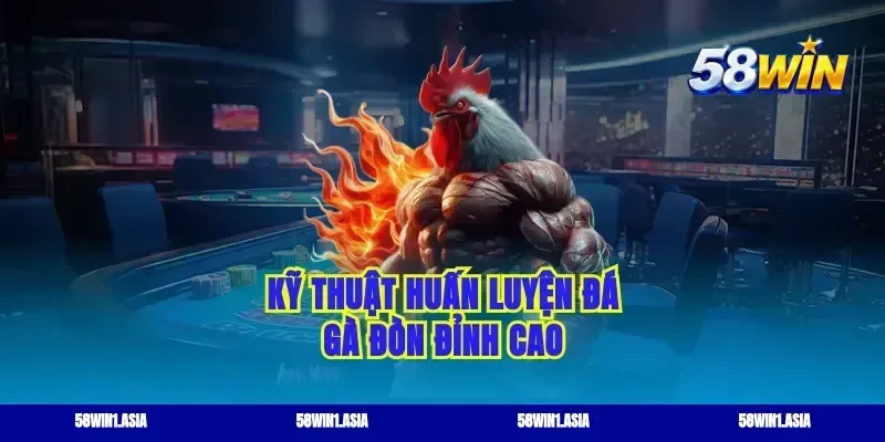 Kỹ thuật huấn luyện đá gà đòn đỉnh cao