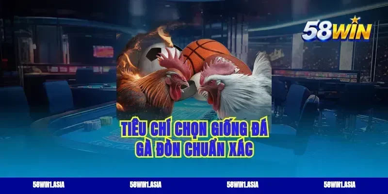 Tiêu chí chọn giống đá gà đòn chuẩn xác