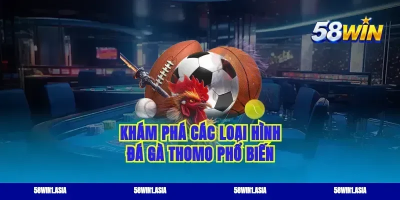 Khám phá các loại hình đá gà thomo phổ biến