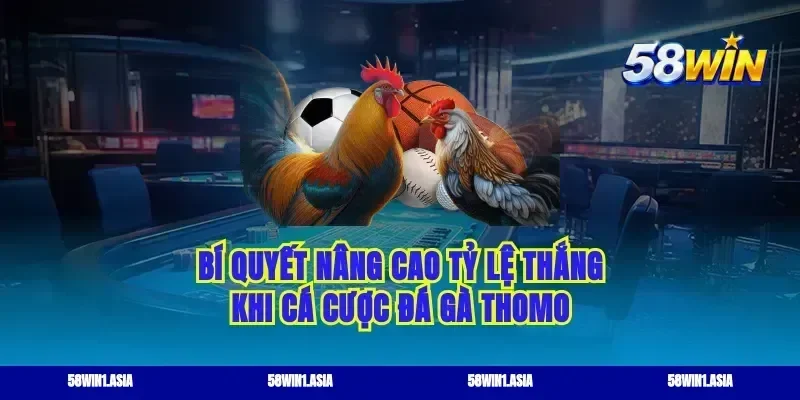 Bí quyết nâng cao tỷ lệ thắng khi cá cược đá gà thomo