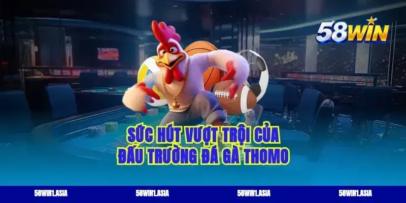 Sức hút vượt trội của đấu trường đá gà thomo
